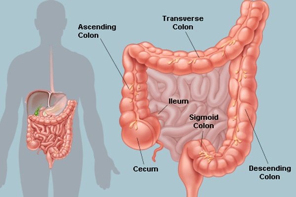 Colon Hydrotherapy: How Does It Work?